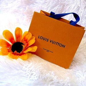 Louis Vuitton Small Empty Bag